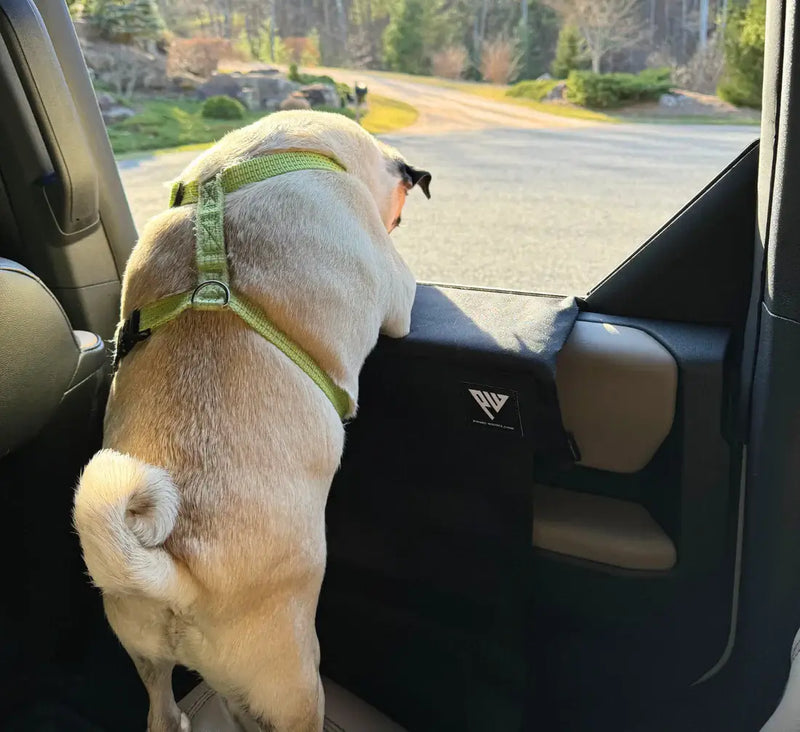 ドアプロテクター PAW PROTECTOR